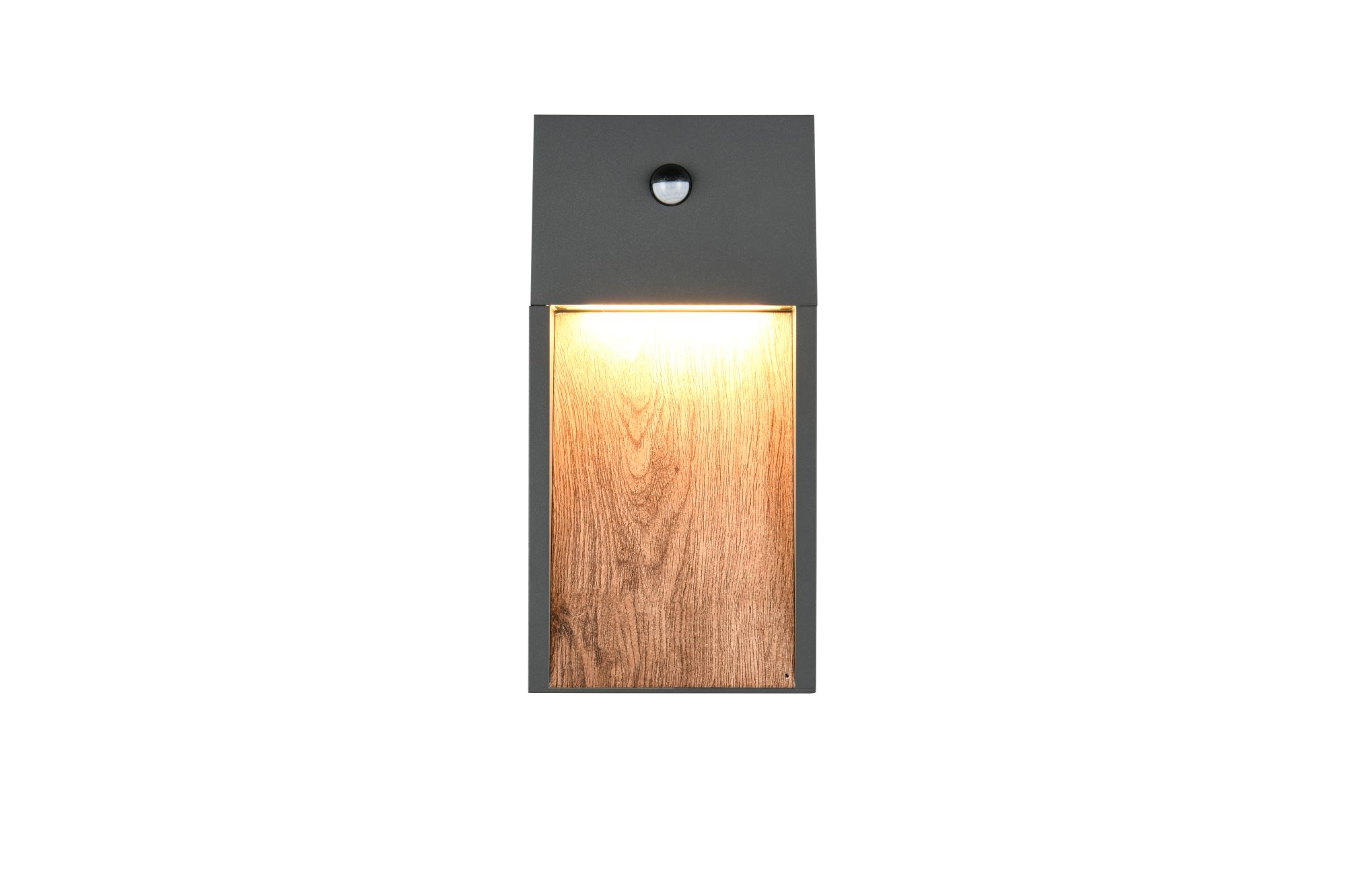 Salmon Led Seinävalaisin Sensor