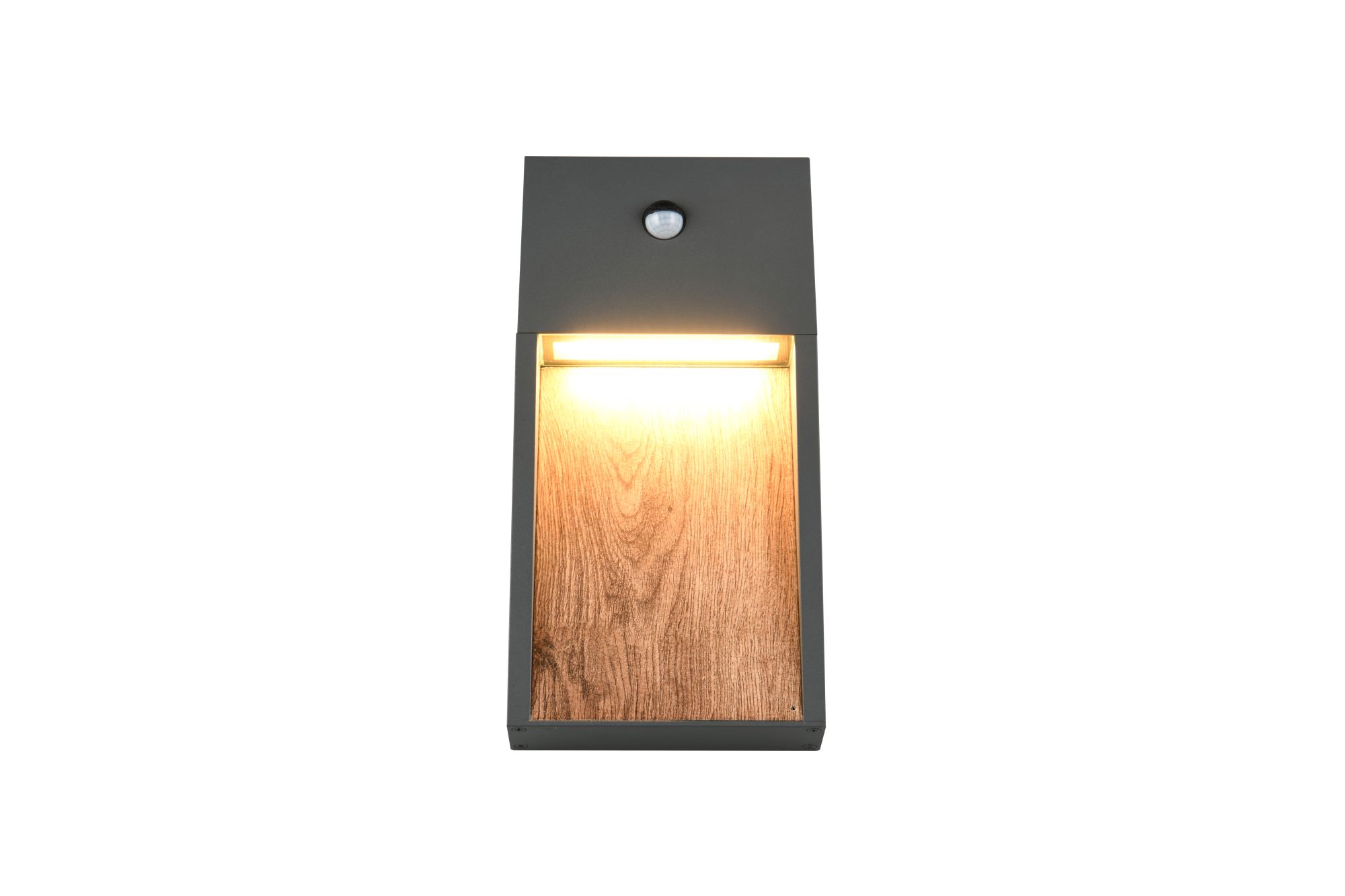 Salmon Led Seinävalaisin Sensor