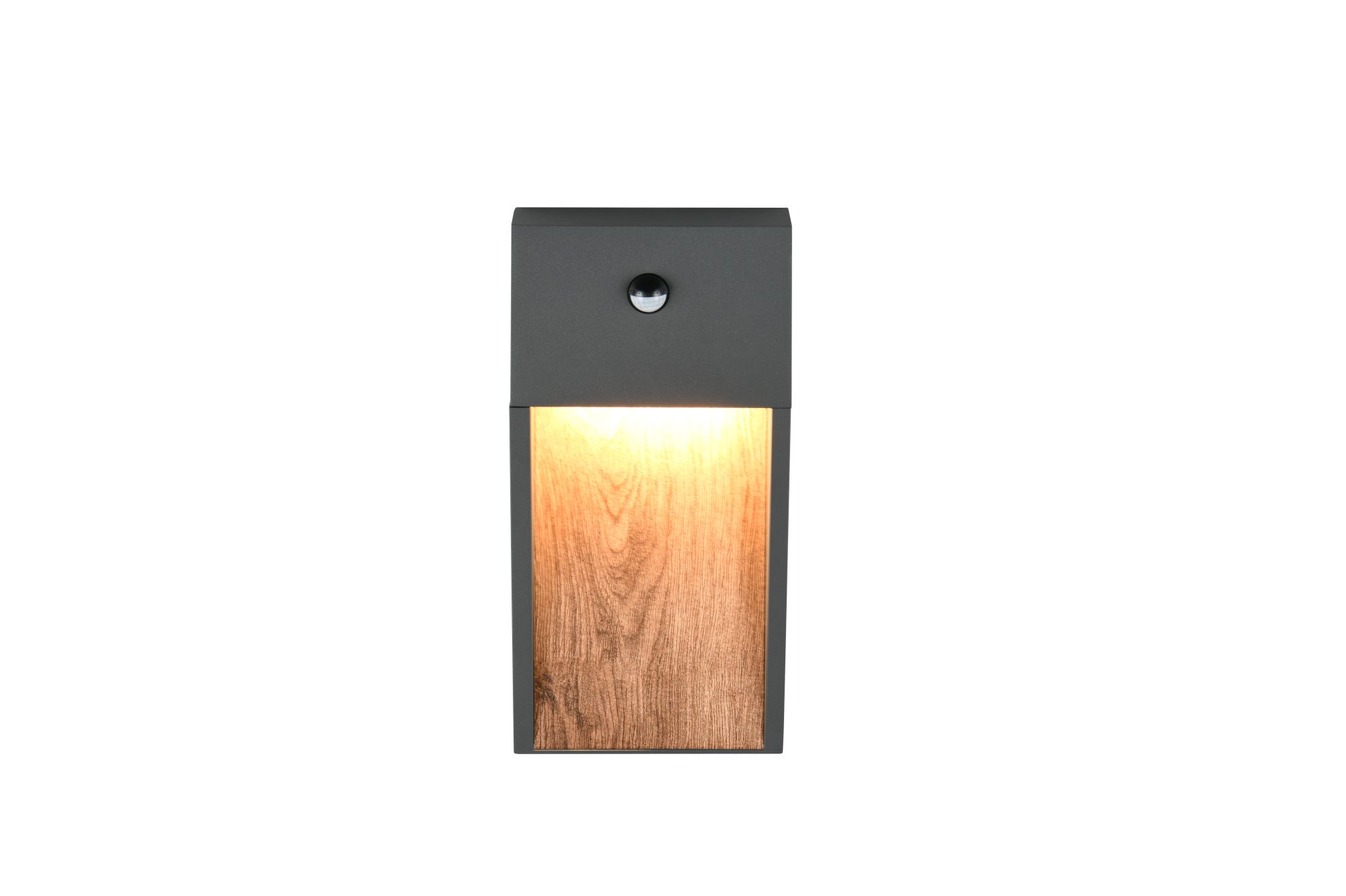 Salmon Led Seinävalaisin Sensor