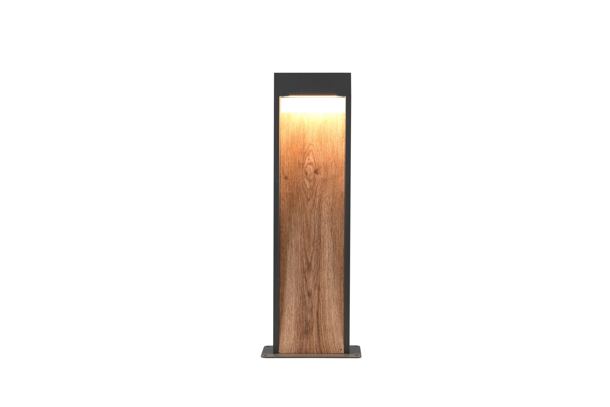 Salmon Led Pylväsvalaisin 100 cm
