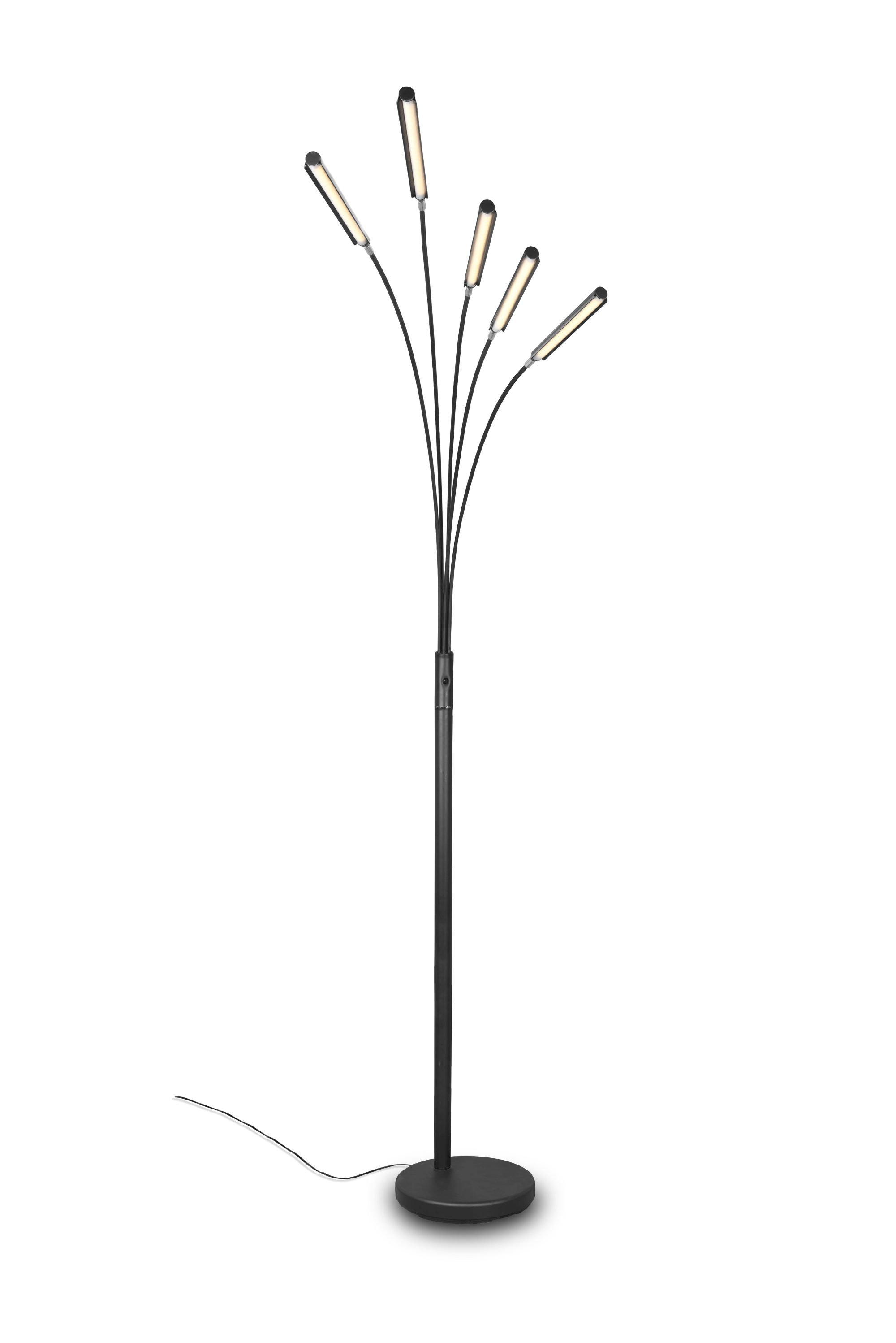Reed Led Lattiavalaisin