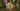 tuotesivu_hirsilatoumpixlpihavarasto20m2_41005009_6c68ee3a8f62_1.webp